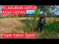 Tanam Bibit Sawit Di Kebun No 1, Kpg Sampun, Asajaya
