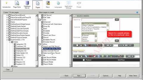 The Application Wizard - Iron Speed Designer V9.0