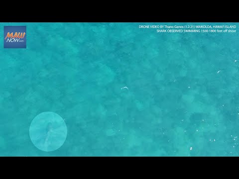 Drone Captures Video
