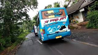 Cctv Ampelgading Oyiiiiiii HAY TAYOOO bersama kawan - kawan tayonya meplgading punyaaa