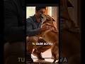 ¿Por qué tu perro se emociona cuando llegas? #shortvideo #perro #dog canino