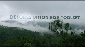 Deforestation Risk Toolset.