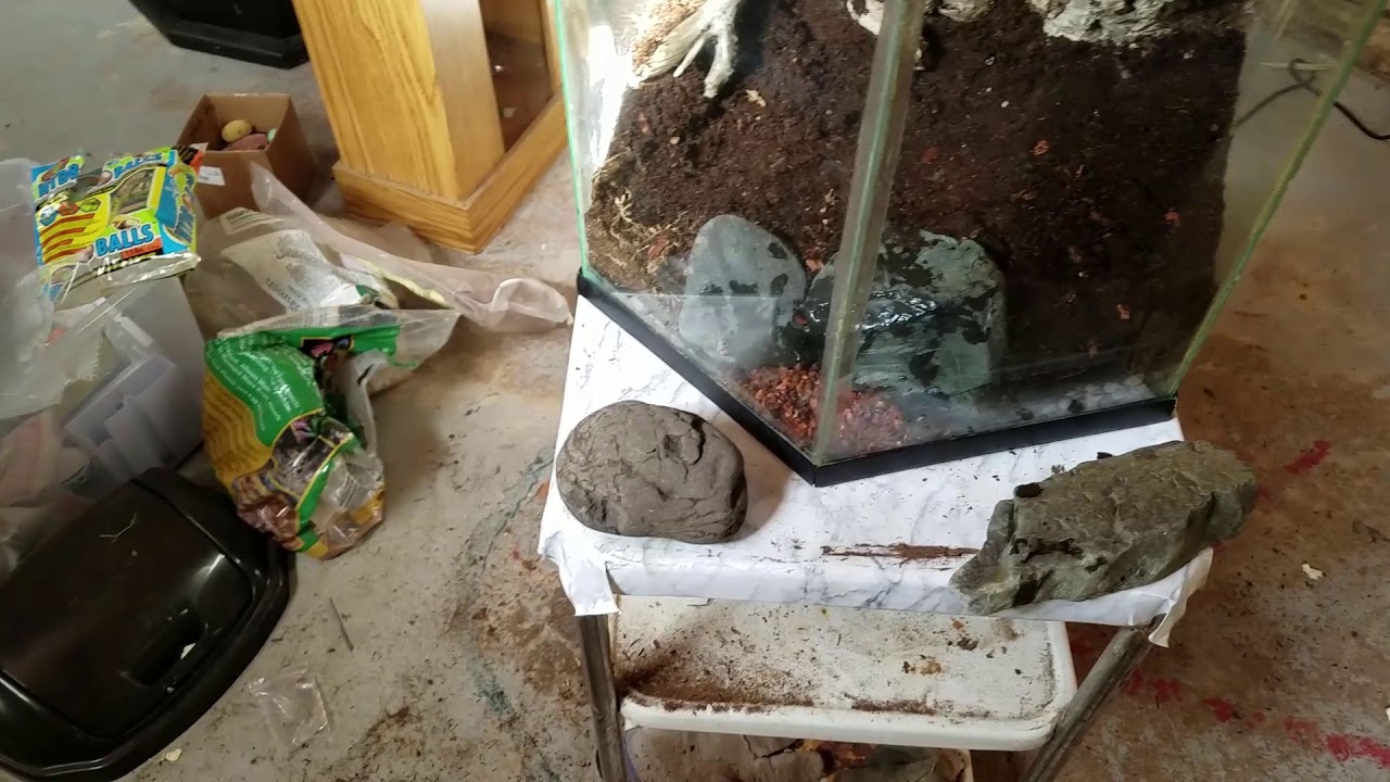 snake oil Custom Vivarium Background Build [Part 4] - 20 Gallon Hexagon Aquarium Conversion