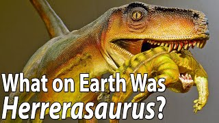 What on Earth Was Herrerasaurus?