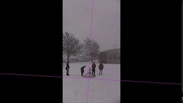 Trebuchet video analysis