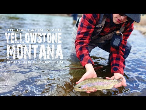 YELLOWSTONE JUMPERS - Fly Fishing the GALLATIN RIVER in MONTANA