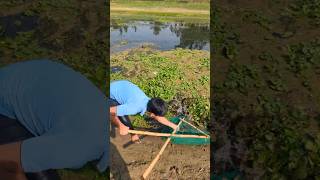 Traditional Fishing In Village River Big Fish Catch
