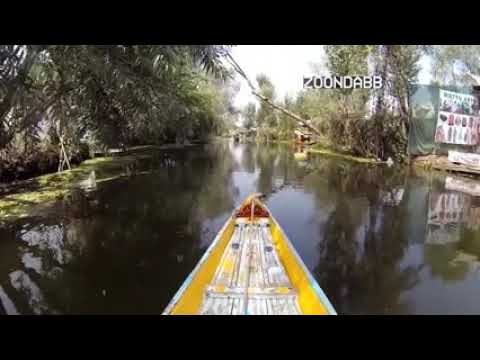 Singing Entry | Rashika Raina | Noida, India