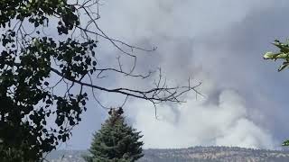 DEVASTATION: Fire In The Ochocos