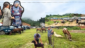 Chợ Phiên Cốc Ly#1| Nơi Hội Họp Giao Lưu Văn Hóa - Cận Cảnh Bắt Cảm Tại Chợ Luôn 😮