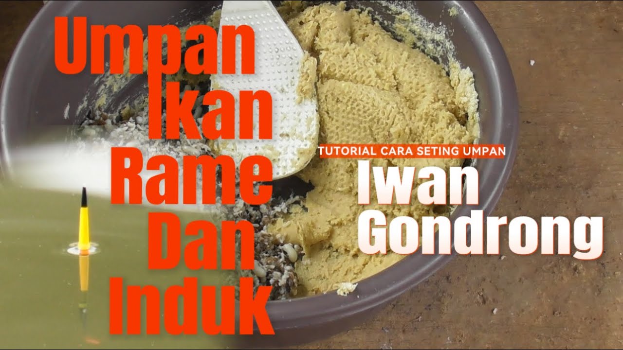 PEMULA WAJIB TAHU NIH || SETINGAN UMPAN ALA IWAN GONDRONG MANCING || VIDEO LENGKAPNYA