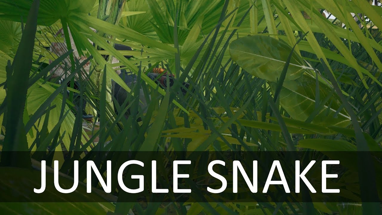 Jungle snake DOCUMENTARY PLAYERUNKNOWN'S BATTLEGROUNDS YouTube