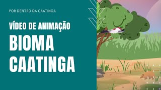 Animação: Bioma Caatinga