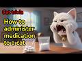 【A story about understanding a cat's feelings】 How to give medicine to your cat !【Cat trivia】