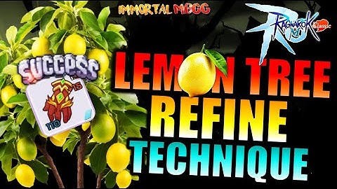 THE MOST MEMORABLE +15 REFINE TECHNIQUE!! - RAGNAROK M CLASSIC
