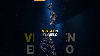 La Sorprendente Verdad Sobre El Adn Humano Y Las Estrellas