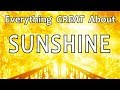 Everything GREAT About Sunshine!