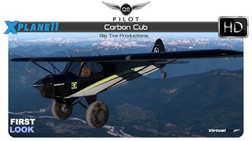X-Plane 11 | Carbon Cub | Big Tire Productions | First Look