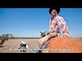 Ray Conniff  -  A Cowboy's Work Is Never Done (Lyrics)