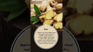 தொப்பை குறைக்க  இஞ்சி..tamil ginger health homeremedy useful news