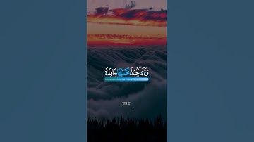 وَتَرَى الْجِبَالَ تَحْسَبُهَا جَامِدَةً وَهِيَ تَمُرُّ مَرَّ السَّحَابِ | القارئ اسلام صبحي 🎧