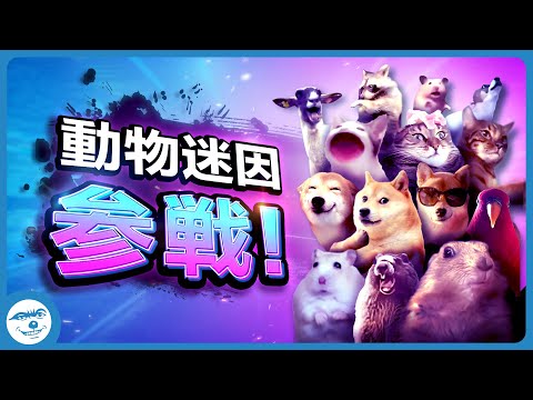 【全員参戦】動物迷因全員參戰 😼 Animals Join The Battle!