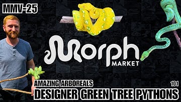What Makes A "Designer" Green Tree Python With Alex Warren Of Amazing Arboreals