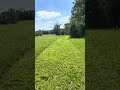 Welcome to Perspective in Process