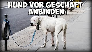 Hund vor Geschäft anbinden / warten lassen! Ja oder Nein? Worauf achten? Tipps!!