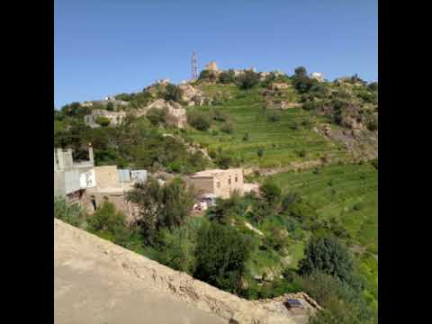 امل كعدل حرام عليك ترمي الغزال