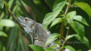 7 Animals With Superpowers You Won't Believe Exist