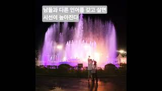 #남들과_다르게_살고싶다면#이하영#긍정의말#긍정적마인드#1분 #1분동기부여#삶은#즐거운여행#한여름밤의꿈