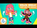 Animal Movement Quiz