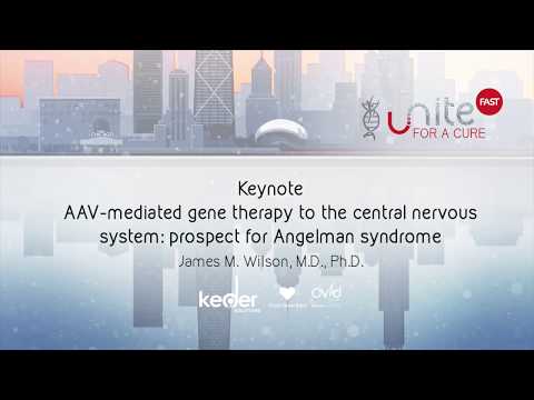 Keynote: AAV-mediated gene therapy to the central nervous system