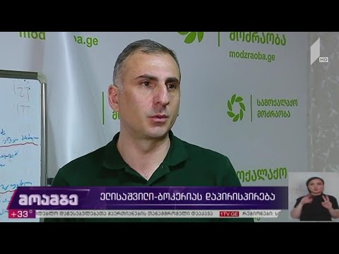 ელისაშვილი-ბოკერიას დაპირისპირება