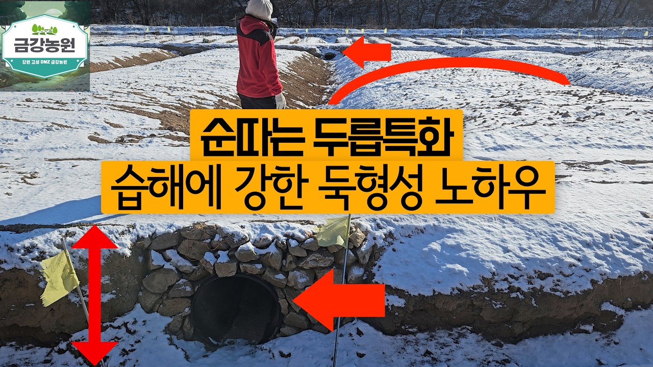 👍두릅나무 엄나무 재배지 조성하기👍