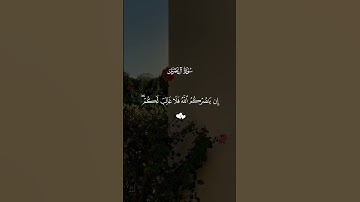 سورة آل عمران بصوت ياسر الدوسري