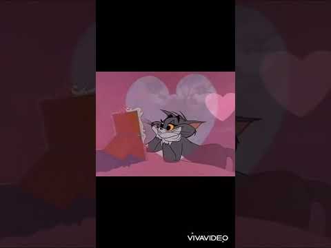 تصميم ليسا بدون حقوق