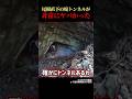 【廃道&廃トンネル】超危険！！なるはやで通り抜けたいトンネル～大多喜町・弓木の廃隧道 Exploring the Dangers of Abandoned Tunnel #shorts