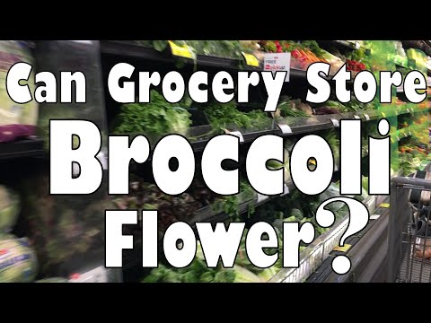 Video: Gewig Verloor Op Broccoli