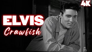 [4K] Elvis Presley - Crawfish | King Creole (1958)