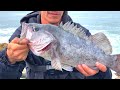 Rock Fishing A Jetty For Lingcod & BIG Black Rockfish