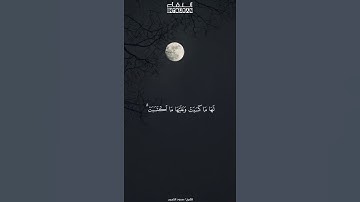 أواخر سورة البقرة بصوت الشريم #اكسبلور #قرآن #quran #trending #لايك #explore