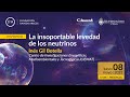 Inés Gil Botella (CIEMAT)- &#39;La insoportable levedad de los neutrinos&#39;