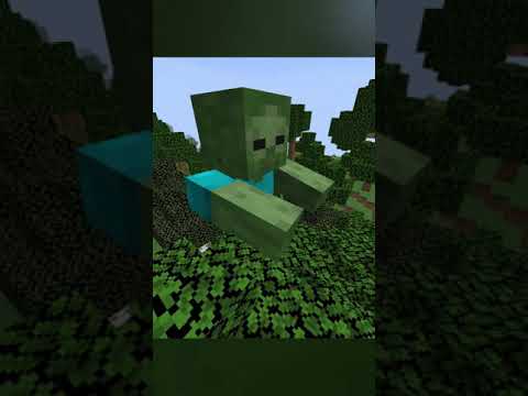 Minecraft, But Walking