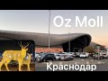 Oz Moll Краснодар территория будущего! modi Новогодняя коллекция.