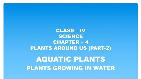 Class IV Science, Chapter - 4 (Plants around Us) Part 2 By Jauli Sen