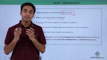 Class 11th – Seed – Introduction | Morphology of Flowering Plants | Tutorials Point