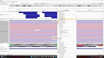 IGV Tutorial Part 4: Artifacts vs True Variants