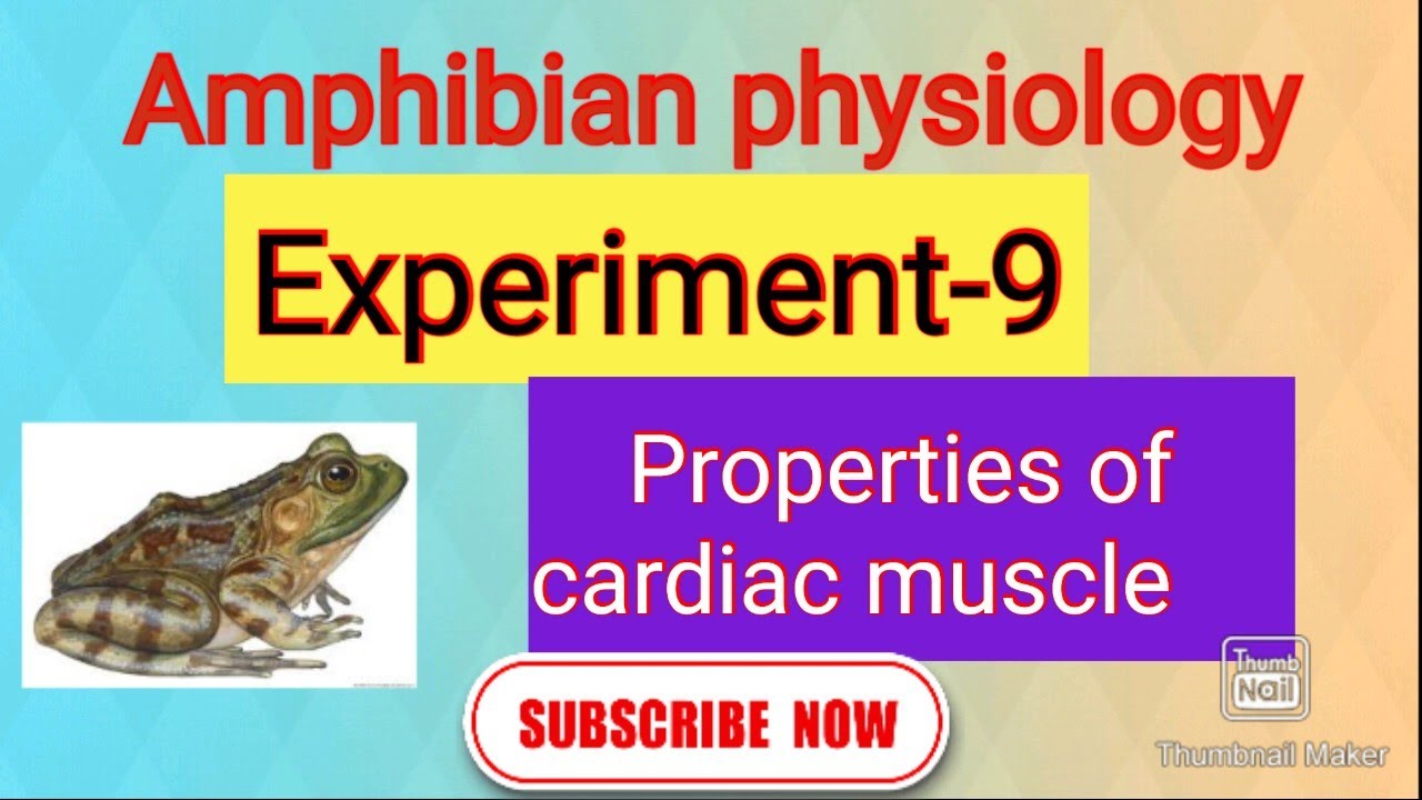 Properties of cardiac muscle #amphibian physiology - YouTube